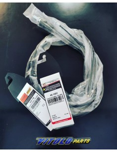 CAVI GAS ALL BALLS  & MOOSE...