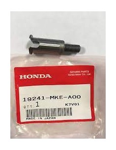 ALBERINO POMPA ACQUA HONDA...