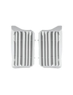 GRIGLIE RADIATORE HONDA CRF...