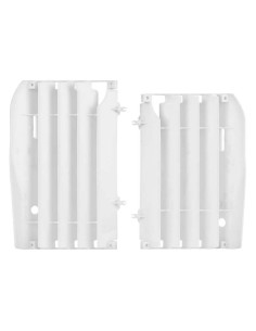 GRIGLIE RADIATORE BETA RR...