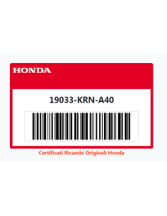 GRIGLIA DESTRA RADIATORE...