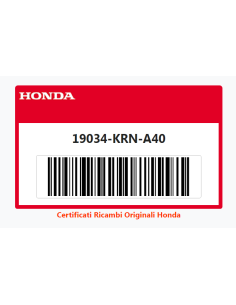 GRIGLIA SINISTRA RADIATORE...