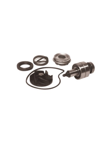 Kit Revisione Pompa Acqua Gilera/Piaggio 250/300 cc