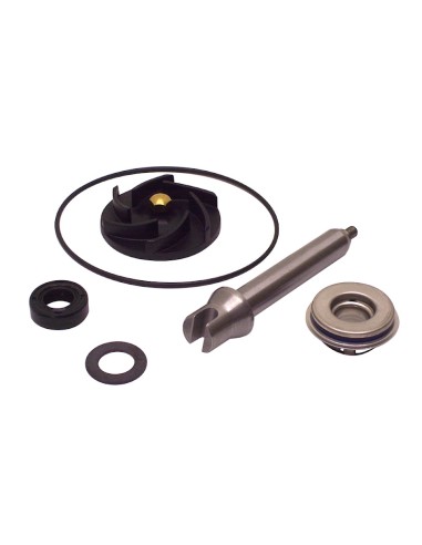 Kit Revisione Pompa Acqua Gilera FUOCO/Piaggio MP3 400/500 cc Ø30mm