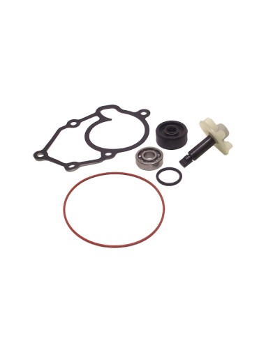 Kit Revisione Pompa Acqua Yamaha X-MAX 125 cc