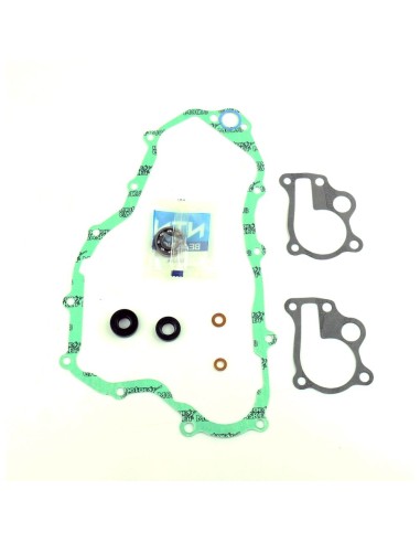 SERIE GUARNIZIONI POMPA ACQUA...